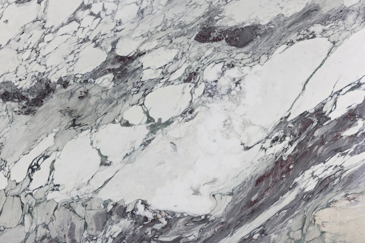 Breccia Capraia